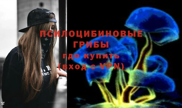 прущие грибы Медногорск
