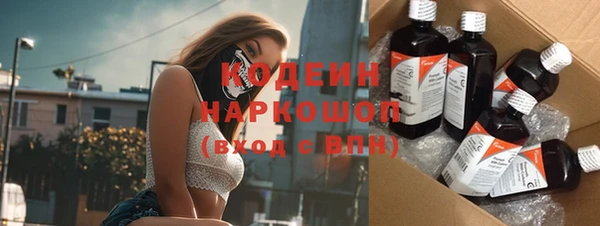 прущие грибы Медногорск