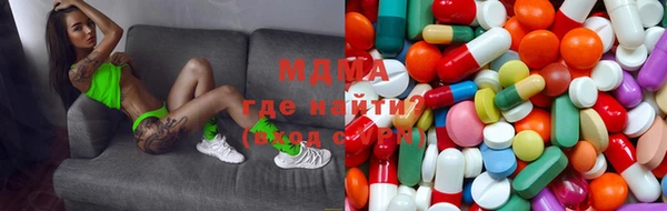 прущие грибы Медногорск
