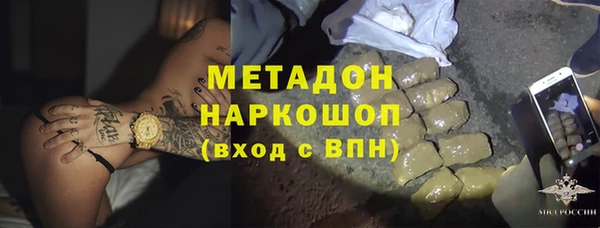прущие грибы Медногорск