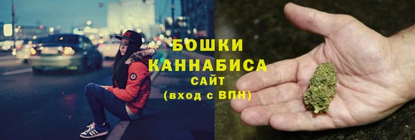 прущие грибы Медногорск