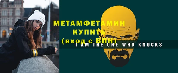 прущие грибы Медногорск