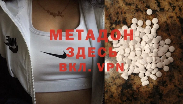 прущие грибы Медногорск