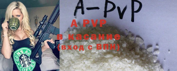 прущие грибы Медногорск
