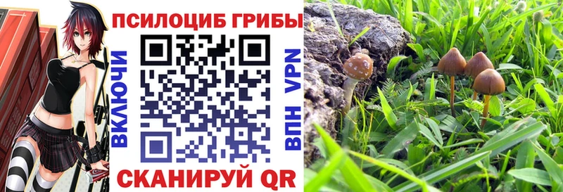 Псилоцибиновые грибы мухоморы  darknet официальный сайт  Тотьма 